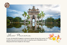 Load image into Gallery viewer, Laos- 10 oz Soy Candle